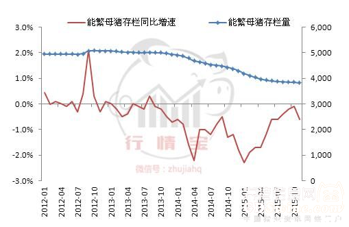 能繁母豬存欄