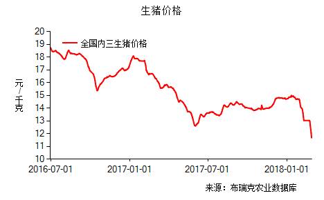 今日全國生豬內(nèi)三平均價格為11.13元/公斤，較昨日下跌0.09元/公斤，外三均價為11.37元/公斤，較昨日下跌0.12元/公斤。